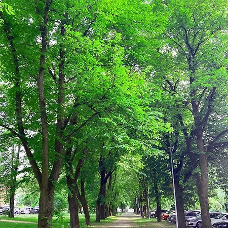 Arka Juhkentali Apartament *