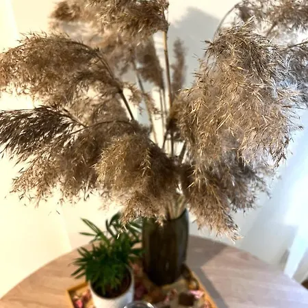 Apartament Arka Juhkentali *