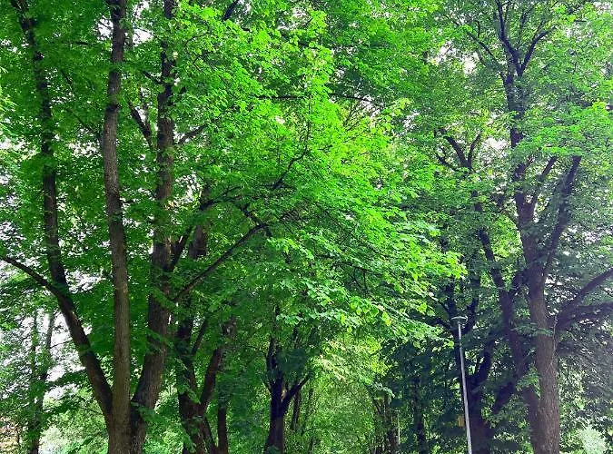 Arka Juhkentali 公寓 *