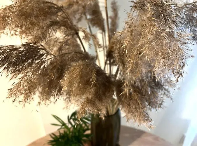 公寓 Arka Juhkentali *